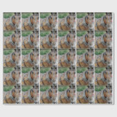 Amish Horse and Buggy Cadeaupapier (Vlak)