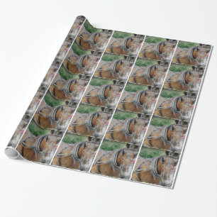 Amish Horse and Buggy Cadeaupapier