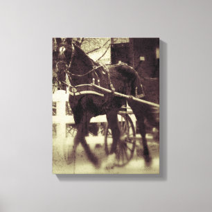 Amish Horse and Buggy Canvas Afdruk