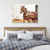 Amish Horse and Buggy in Kalona, Iowa Canvas Afdruk (Insitu (Slaapkamer))