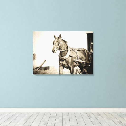Amish Horse and Buggy in Sepia Canvas Afdruk (Insitu (Houten vloer))