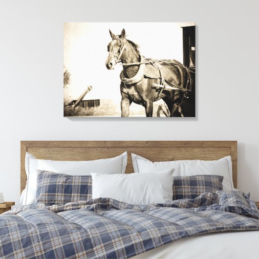 Amish Horse and Buggy in Sepia Canvas Afdruk (Insitu (Slaapkamer))