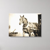 Amish Horse and Buggy in Sepia Canvas Afdruk (Voorkant)