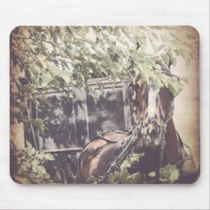 Amish Horse and Buggy in the Shade Muismat