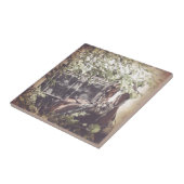 Amish Horse and Buggy in the Shade Tegeltje (Zijkant)