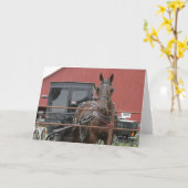 Amish Horse and Buggy Kaart (Gele Bloem)
