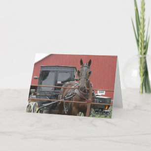 Amish Horse and Buggy Kaart