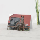 Amish Horse and Buggy Kaart (Voorkant)