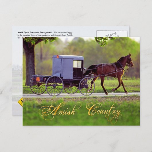 Amish Horse and Buggy, Lancaster, PA Briefkaart (Voorkant / Achterkant)