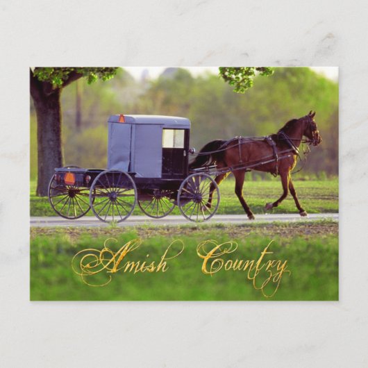 Amish Horse and Buggy, Lancaster, PA Briefkaart (Voorkant)