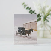 Amish Horse and Buggy on Winter Road Briefkaart (Staand voorkant)