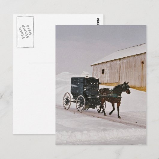 Amish Horse and Buggy on Winter Road Briefkaart (Voorkant / Achterkant)
