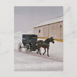 Amish Horse and Buggy on Winter Road Briefkaart