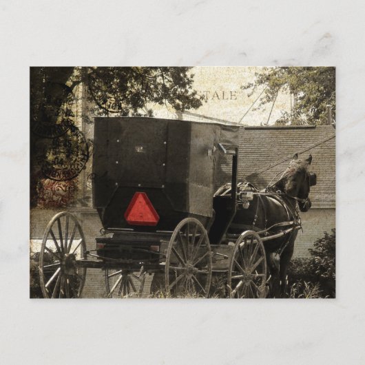 Amish Horse and Buggy Sepia Briefkaart Digital Art (Voorkant)
