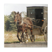 Amish Horse and Buggy