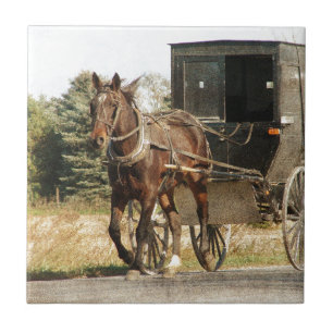 Amish Horse and Buggy Tegeltje