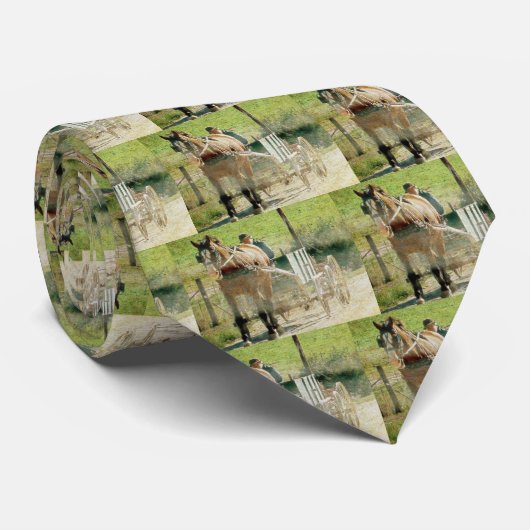 Amish Horse and Cart Stropdas (Opgerold)