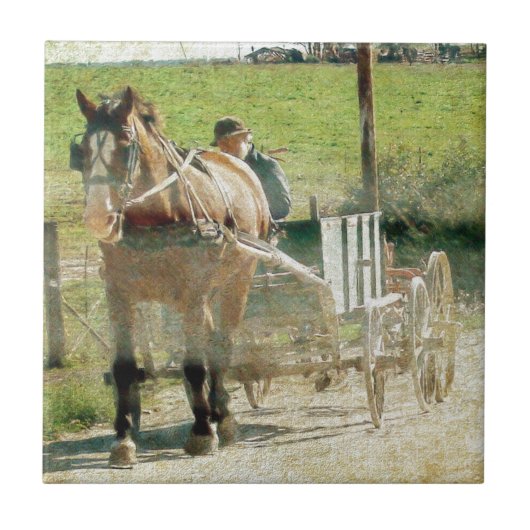 Amish Horse and Cart Tegeltje (Voorkant)