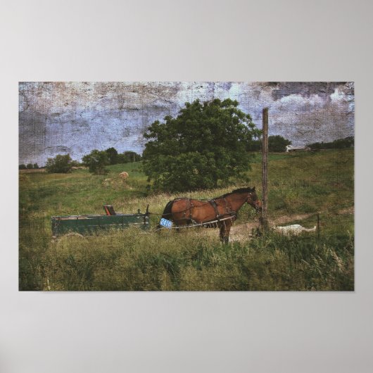 Amish Horse and Dog Poster (Voorkant)
