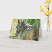Amish Horse bij Hitching Post All Occasions Kaart (Gele Bloem)