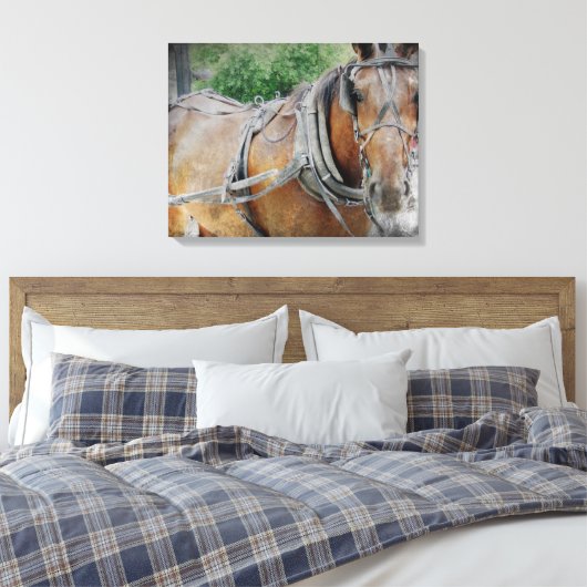 Amish Horse Canvas Afdruk (Insitu (Slaapkamer))