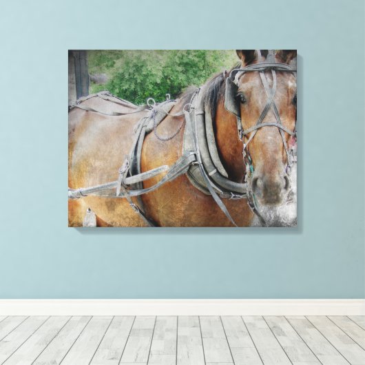 Amish Horse Canvas Afdruk (Insitu (Houten vloer))
