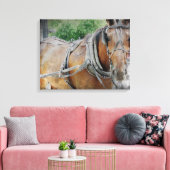 Amish Horse Canvas Afdruk (Insitu (Woonkamer))