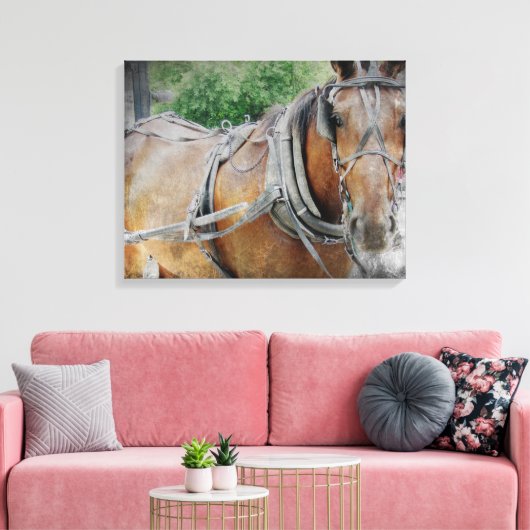 Amish Horse Canvas Afdruk (Insitu (Woonkamer))