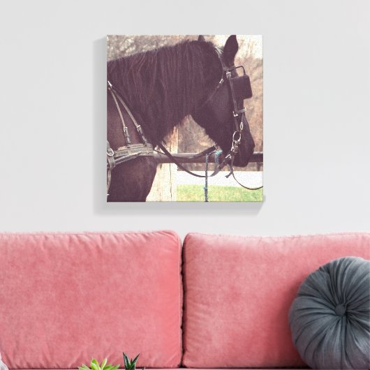 Amish Horse Canvas Afdruk (Insitu (Woonkamer))