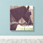 Amish Horse Canvas Afdruk (Insitu (Houten vloer))