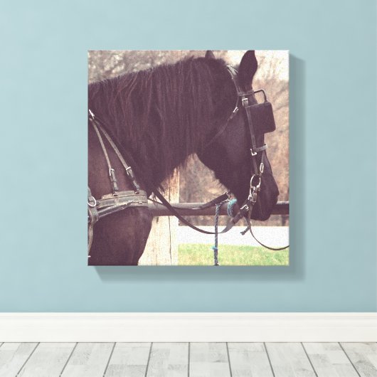 Amish Horse Canvas Afdruk (Insitu (Houten vloer))