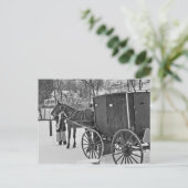Amish Horse en Buggy-Briefkaart Briefkaart (Staand voorkant)