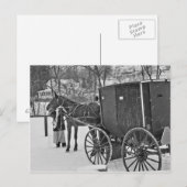 Amish Horse en Buggy-Briefkaart Briefkaart (Voorkant / Achterkant)