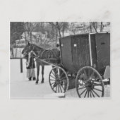 Amish Horse en Buggy-Briefkaart Briefkaart (Voorkant)