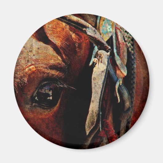 Amish Horse Eye Magneet (Voorkant)