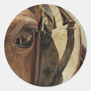 Amish Horse Eye Ronde Sticker
