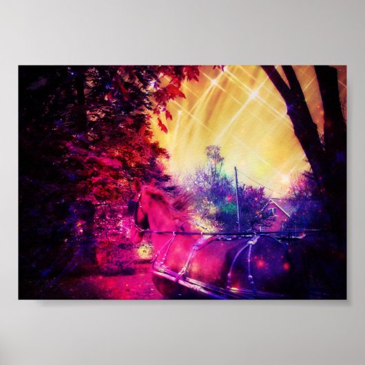 Amish Horse Fun Poster (Voorkant)