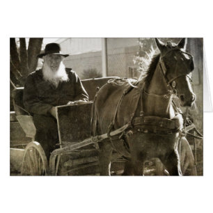 Amish Horse Gekke met tongstout