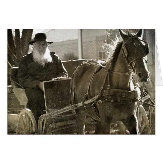 Amish Horse Gekke met tongstout (Voorkant Horizontaal)