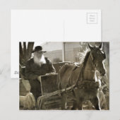 Amish Horse Gekke met tongstout Briefkaart (Voorkant / Achterkant)