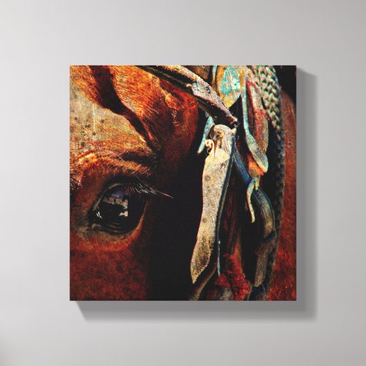 Amish Horse Grunge Canvas Afdruk (Voorkant)