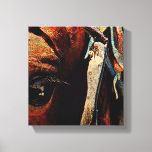 Amish Horse Grunge Canvas Afdruk