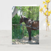 Amish Horse Kaart (Gele Bloem)