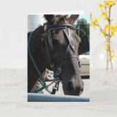 Amish Horse Kaart (Gele Bloem)