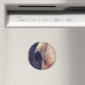 Amish Horse Magneet (Insitu (Vaatwasser))