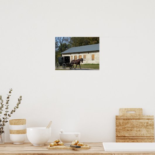 Amish Horse Poster (Keuken)