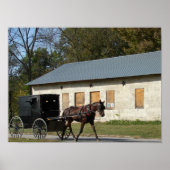 Amish Horse Poster (Voorkant)