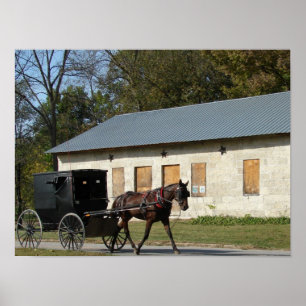Amish Horse Poster