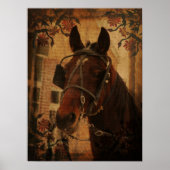 Amish Horse Poster (Voorkant)