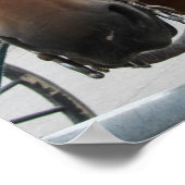 Amish Horse Poster (Hoek)